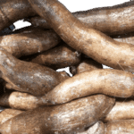 Cassava Root