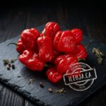 Hot Pepper