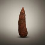 Yam